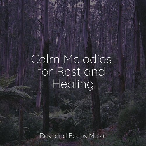 Calm Melodies for Rest and Healing_poster_image