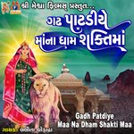 Gadh Patdiye Maa Na Dham Shakti Maa