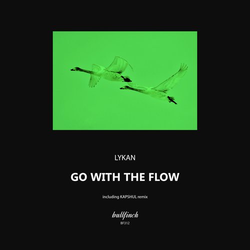 Go With the Flow (Kapshul Remix) cover art