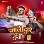 Jaalidaar Kurti