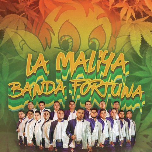 Banda Fortuna