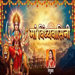 Maa Vindhwasini