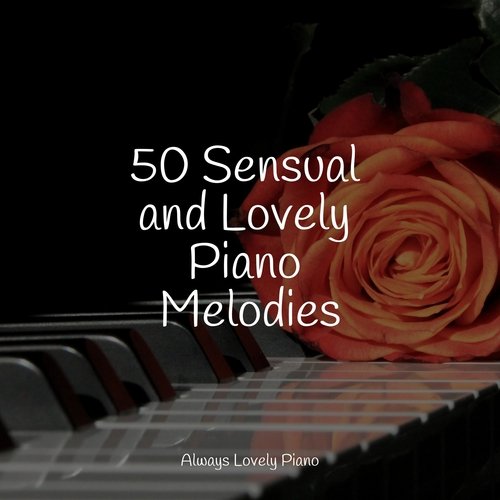 Melodies for Studying | Absolute Focus