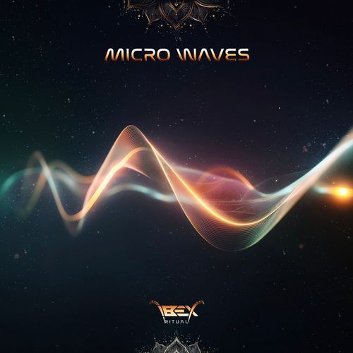 Micro Waves