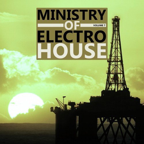 Ministry of Electro House Vol.07