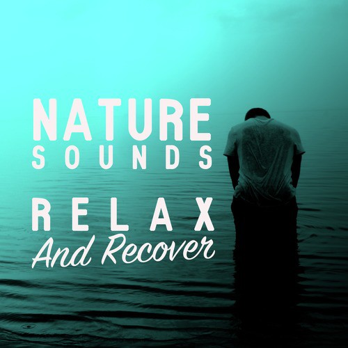 Nature Sounds: Relax and Recover_poster_image