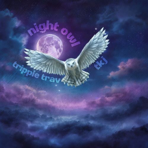 Night Owl