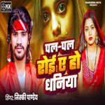 Pal Pal Roi A Ho Dhaniya