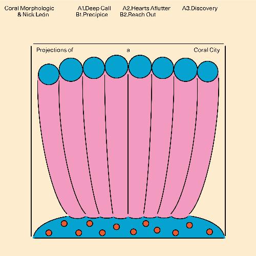 Projections of a Coral City