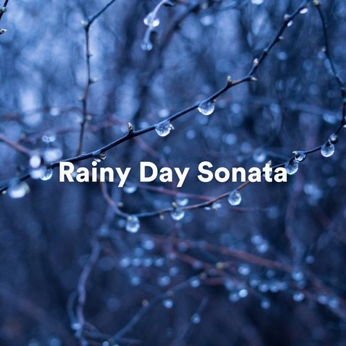 Rainy Day Sonata (Serene and Relaxing Piano Rain Music)_poster_image