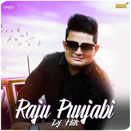 Raju Punjabi Dj Hits