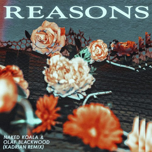 Reasons (Kadrian Remix)_poster_image