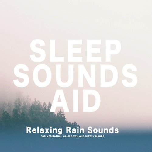 Sleep Sounds: Relaxing Rain Sounds_poster_image