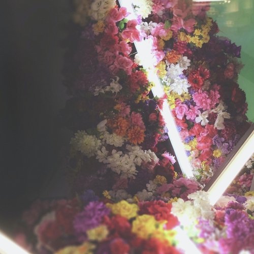 Stinging Perfect Nights cover art