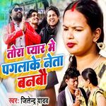 Tora Pyar Me Paglake Neta Banbau