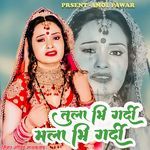 Tula Bhi Gardi Mala Bhi Gardi (Lofi)