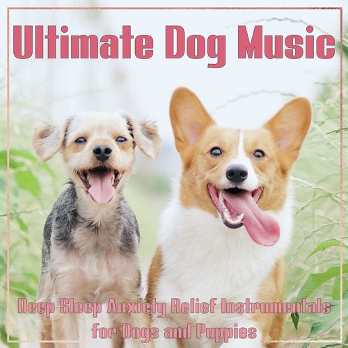 Ultimate Dog Music: Deep Sleep Anxiety Relief Instrumentals for Dogs and Puppies