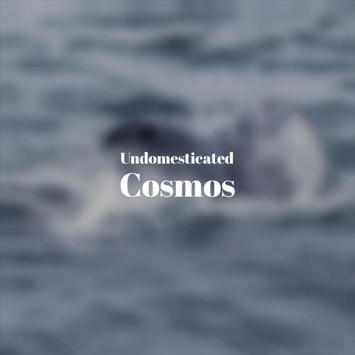 Day Soars cover art