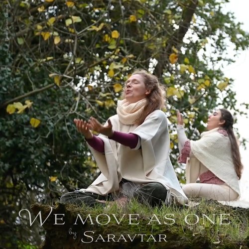 We Move as One cover art