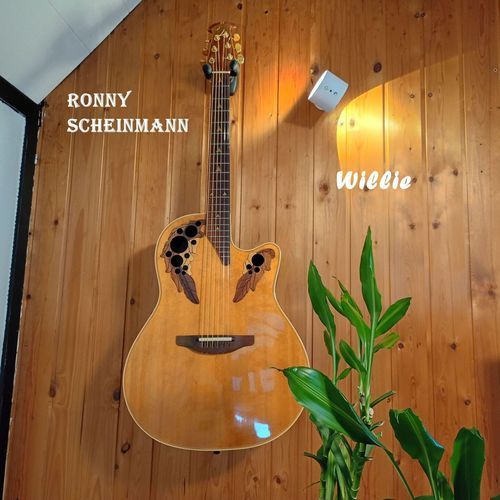 Willie cover art