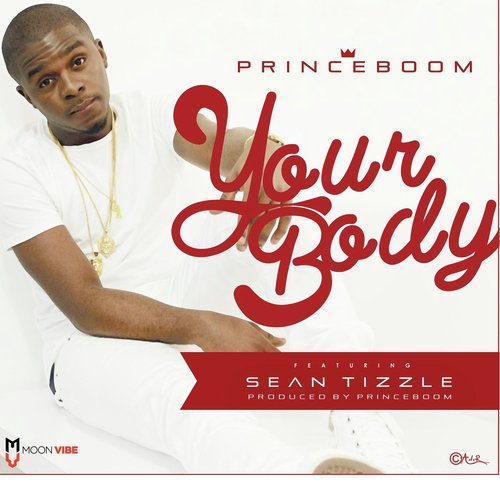 Your Body (feat. Sean Tizzle)_poster_image