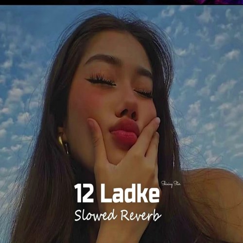 12 Ladke (Slow Reverb)_poster_image