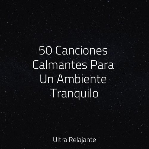 50 Canciones Calmantes Para Un Ambiente Tranquilo_poster_image