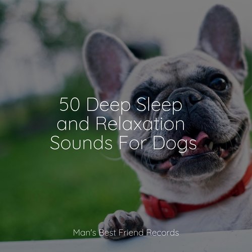 50 Deep Sleep and Relaxation Sounds For Dogs_poster_image