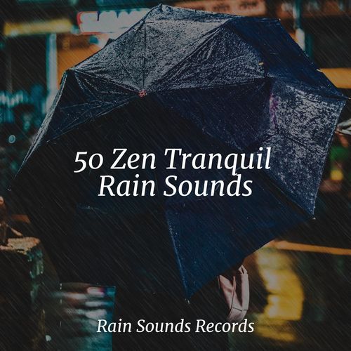 50 Zen Tranquil Rain Sounds