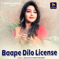 Baape Dilo License-LyIocE1JRQA