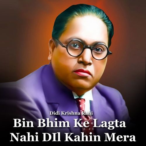 Bin Bhim Ke Lagta Nahi DIl Kahin Mera