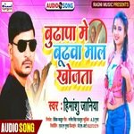 budhapa mein budhwa maal khojata