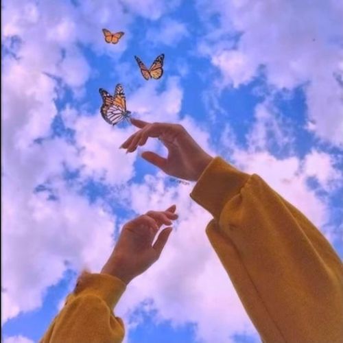 Cotton Candy Butterflies cover art