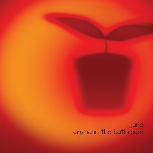 Crying In The Bathroom_poster_image