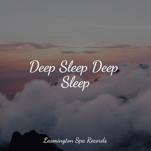 Deep Sleep Deep Sleep