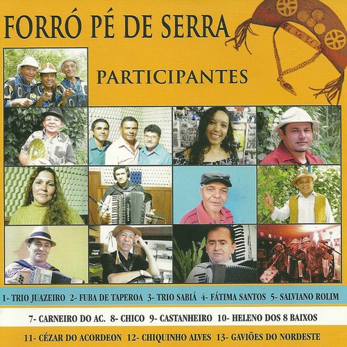 Heleno dos 8 Baixos - É UM FORRÓ DO BOM cover art
