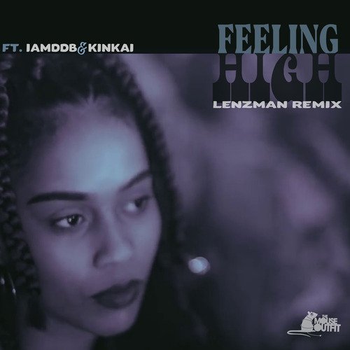 Feeling High (Lenzman Remix)_poster_image