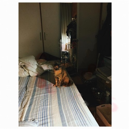 Shitsunoii Enpitsu cover art