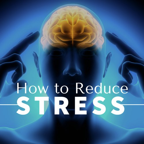 How to Reduce Stress