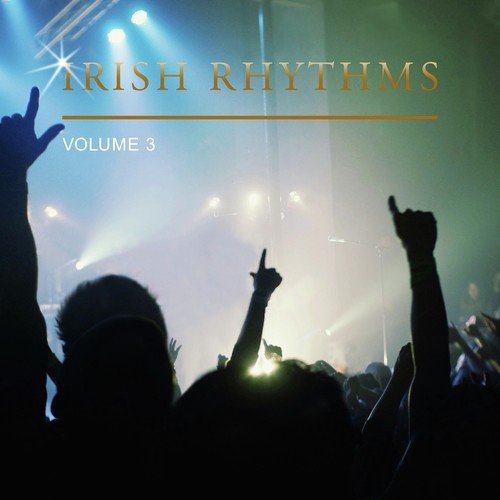 Irish Rhythms, Vol. 3