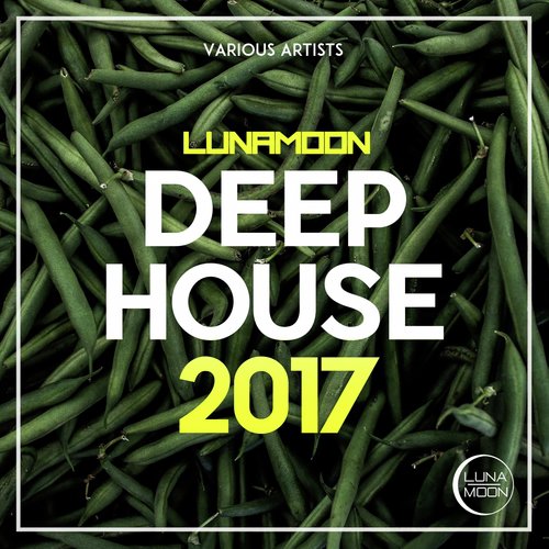 LunaMoon - Deep House 2017