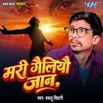 Mari Gailiyo Jaan