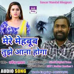 Mere Mehbub Tujhe Aana Hoga (Sad Song ( Gazal ))-AwYPZENXVEI