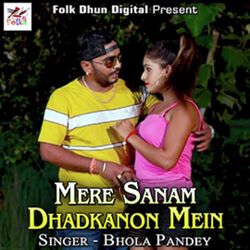 Mere Sanam Dhadkanon Mein