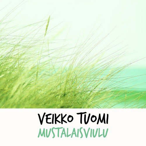 Veikko Tuomi