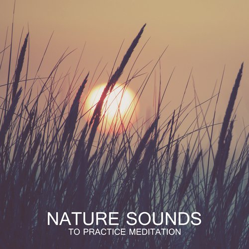 Quiet Meditation cover art
