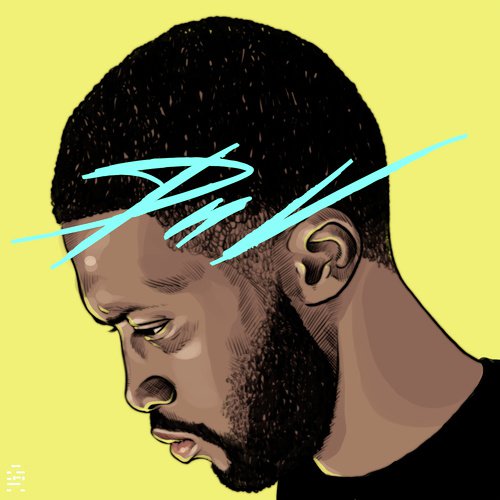 PNV cover art