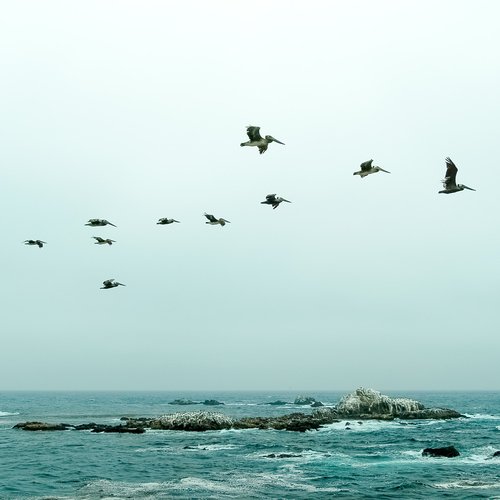 Peaceful Relaxation at Night: a Soothing 45 Track Collection