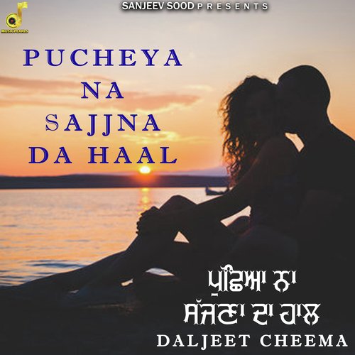 Pucheya Na Sajjna Da Haal