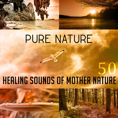 Pure Nature: 50 Healing Sounds of Mother Nature, Ambient Music with Waterfall, Soothing Rain, Relaxing Ocean Waves & Sea, River, Forest and Birds